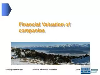 Financial Valuation of companies
