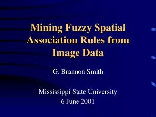 Mining Fuzzy Spatial Association Rules from Image Data