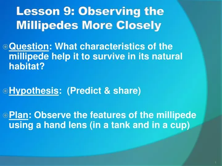 lesson 9 observing the millipedes more closely