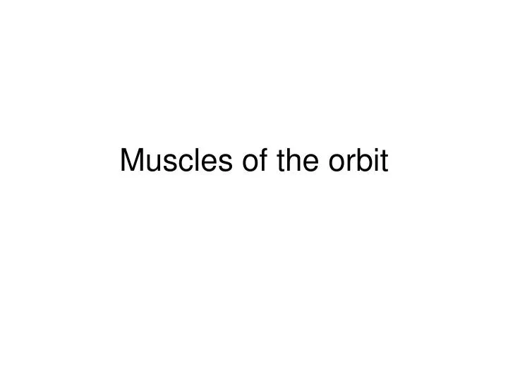 muscles of the orbit