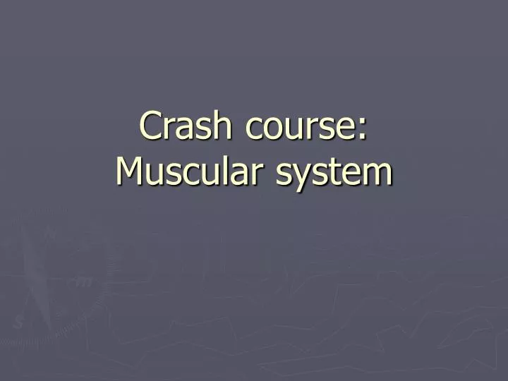 crash course muscular system