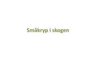 sm kryp i skogen