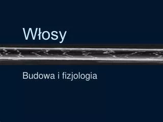 w osy