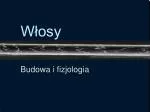 Włosy - slide 1