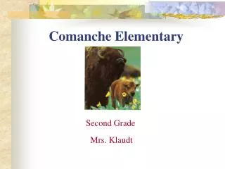 Comanche Elementary