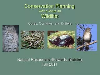 Conservation Planning