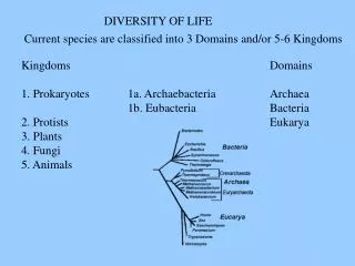 Kingdoms						Domains 1. Prokaryotes		1a. Archaebacteria		Archaea 			1b. Eubacteria			Bacteria