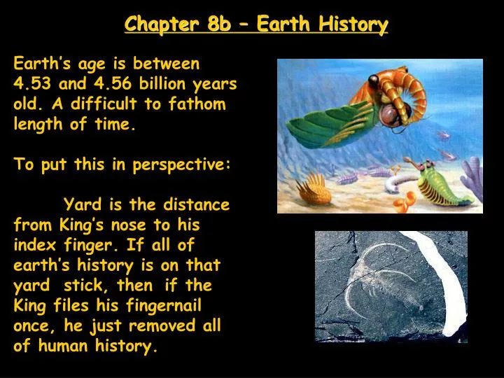 chapter 8b earth history