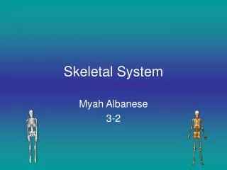 skeletal system