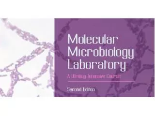Molecular Microbiology Laboratory Instructor: Dr. Office Hours: by appointment