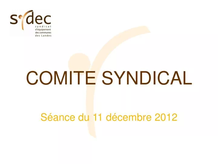 comite syndical s ance du 11 d cembre 2012