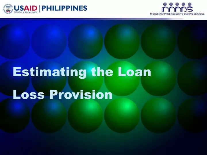 estimating the loan loss provision