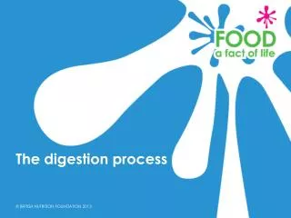 The digestion process