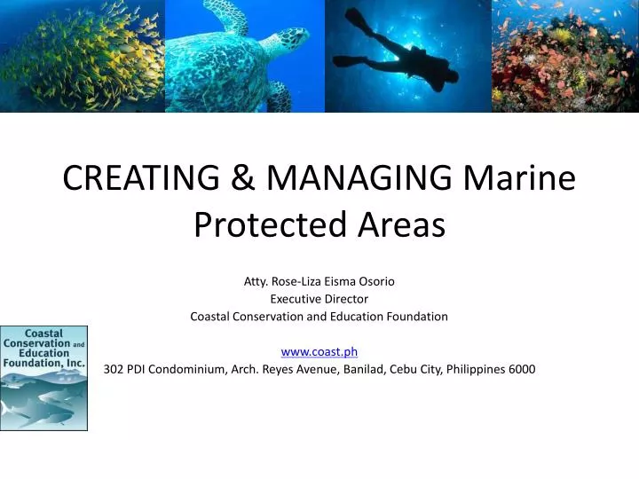 creating managing marine protected areas