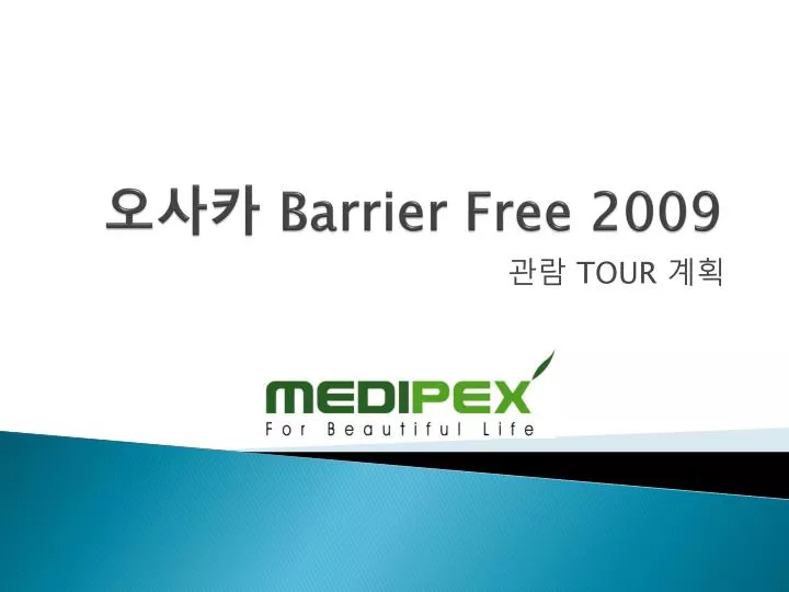 barrier free 2009