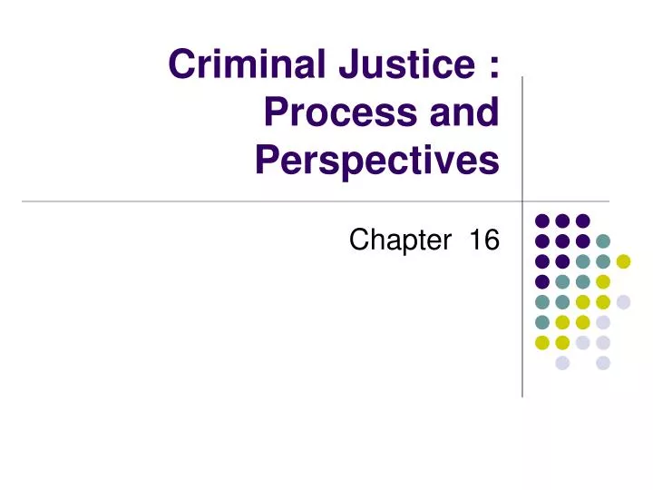 criminal justice process and perspectives