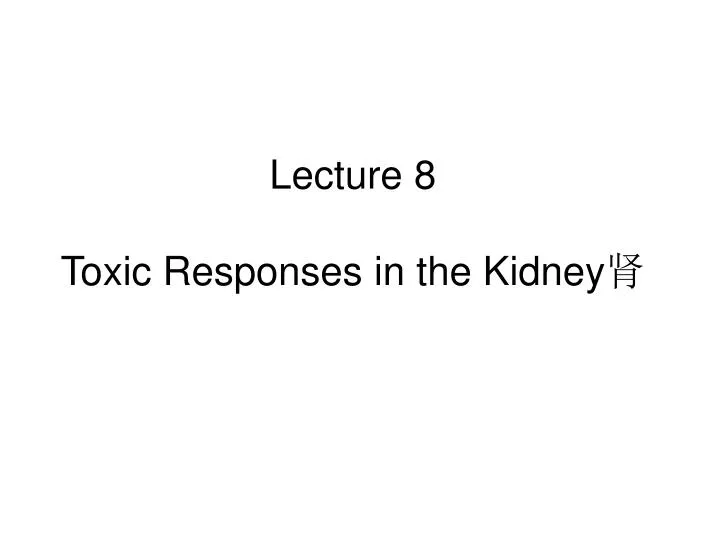 lecture 8 toxic responses in the kidney