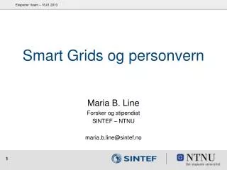 smart grids og personvern