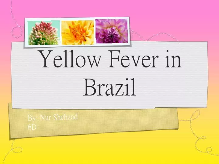 yellow fever in brazil