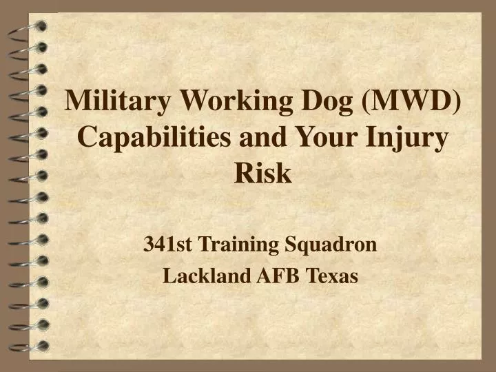 military working dog mwd capabilities and your injury risk