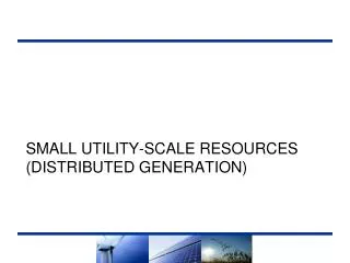 Small UTILITY-Scale Resources (Distributed Generation)