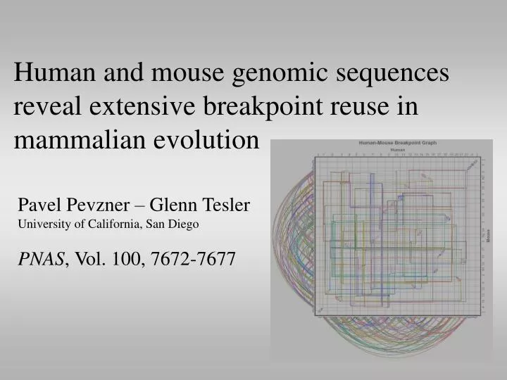 human and mouse genomic sequences reveal extensive breakpoint reuse in mammalian evolution