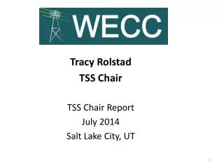 Tracy Rolstad TSS Chair TSS Chair Report July 2014 Salt Lake City, UT
