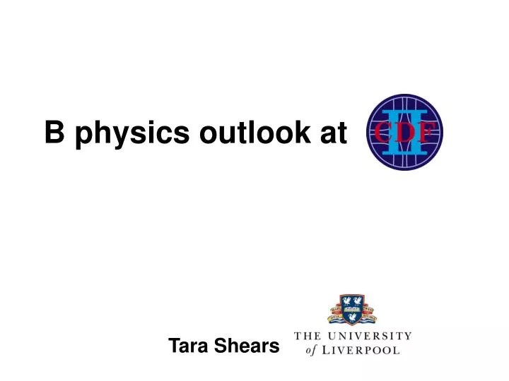 b physics outlook at