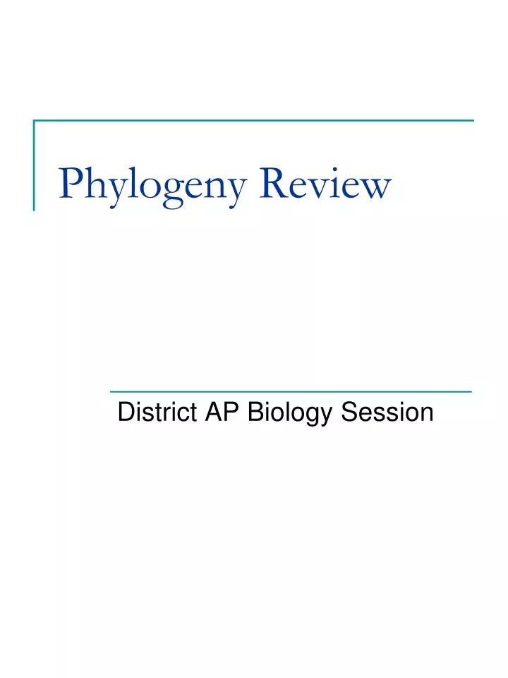 phylogeny review