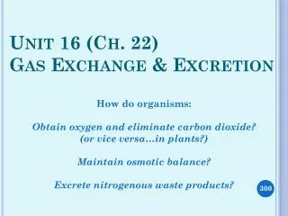Unit 16 (Ch. 22) Gas Exchange &amp; Excretion