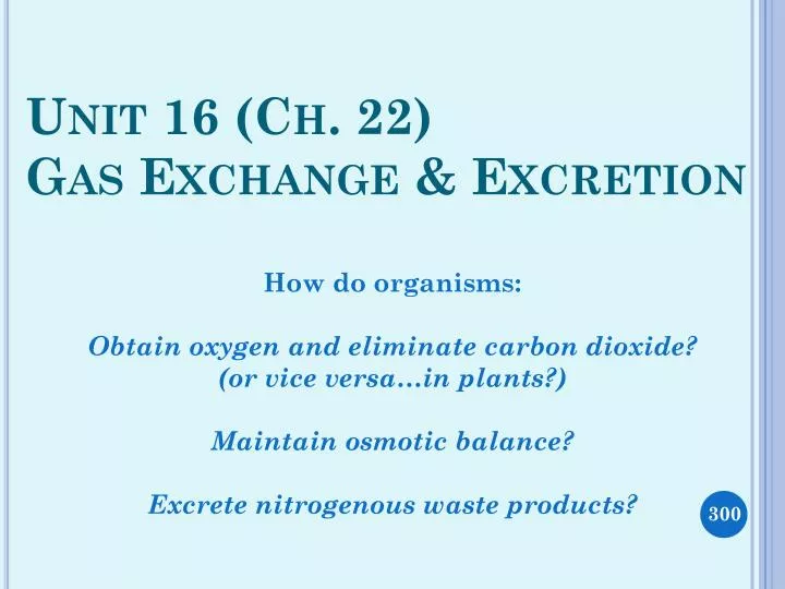 unit 16 ch 22 gas exchange excretion