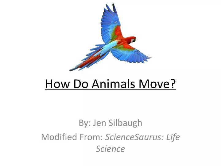 how do animals move