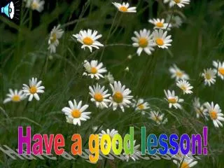 Have a good lesson!