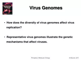 Virus Genomes
