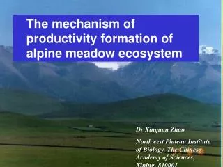The mechanism of productivity formation of alpine meadow ecosystem