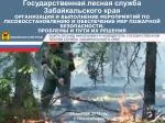 ВОЙТА ЛЕОНИД НИКОЛАЕВИЧ-РУКОВОДИТЕЛЬ ГОСУДАРСТВЕННОЙ ЛЕСНОЙ СЛУЖБЫ ЗАБАЙКАЛЬСКОГО КРАЯ - slide 1