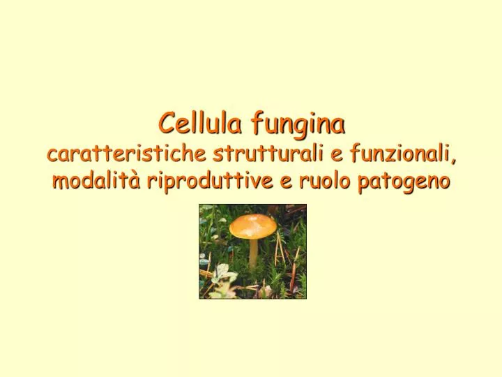 cellula fungina caratteristiche strutturali e funzionali modalit riproduttive e ruolo patogeno