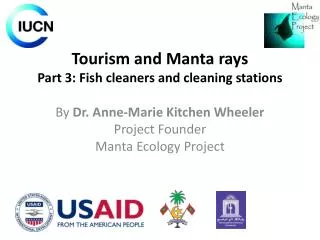 Tourism and Manta rays Part 3 : Fish cleaners and cleaning stations