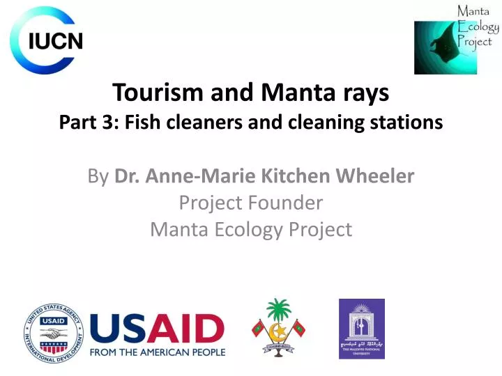 tourism and manta rays part 3 fish cleaners and cleaning stations