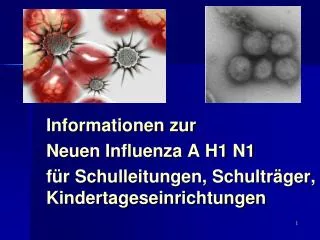 informationen zur neuen influenza a h1 n1 f r schulleitungen schultr ger kindertageseinrichtungen