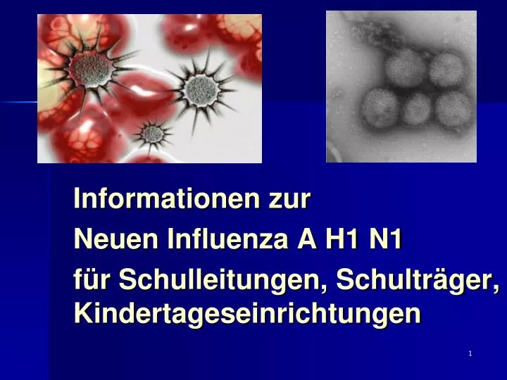informationen zur neuen influenza a h1 n1 f r schulleitungen schultr ger kindertageseinrichtungen