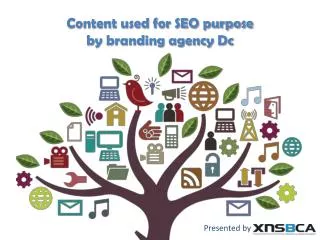 content used by branding agencies in Washington dc for seo