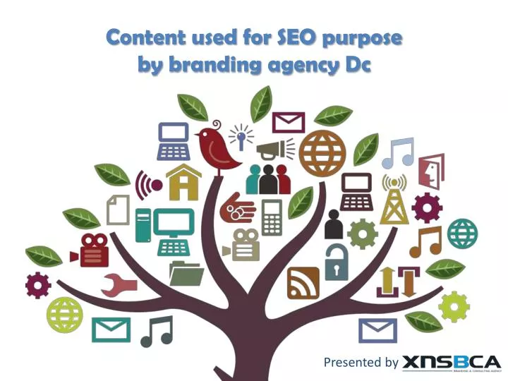content used for seo purpose by branding agency dc