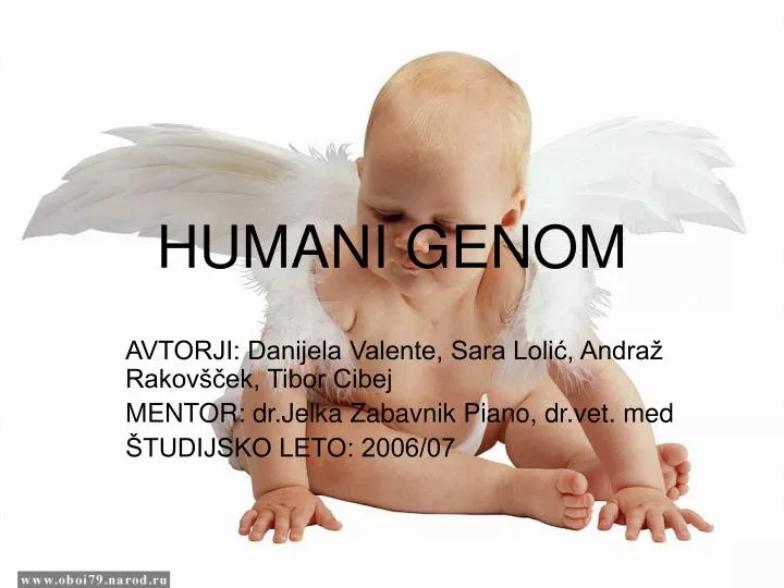 humani genom