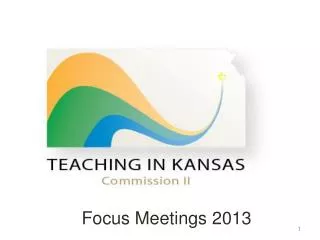 Focus Meetings 2013