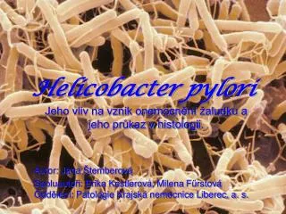 helicobacter pylori