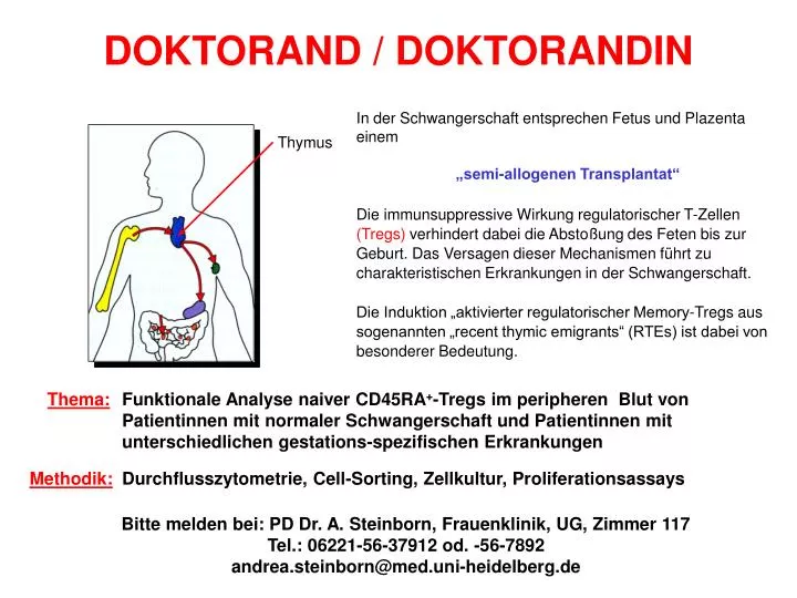 doktorand doktorandin