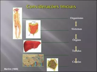 considera es iniciais