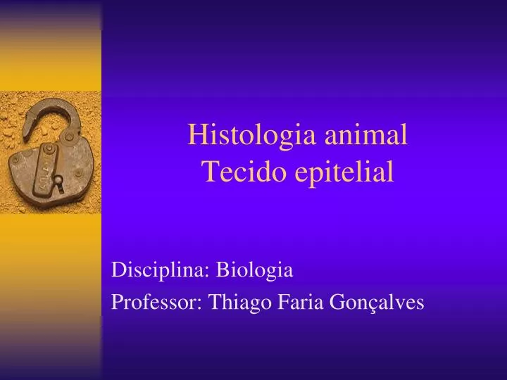 histologia animal tecido epitelial