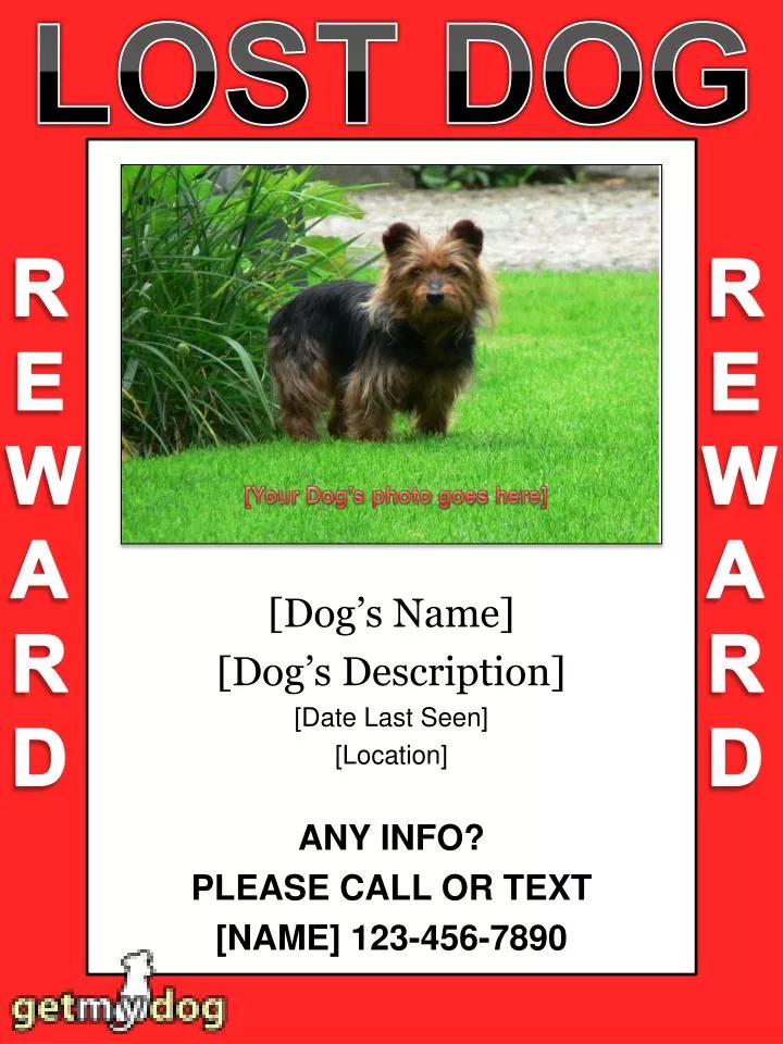 dog s name dog s description date last seen location any info please call or text name 123 456 7890
